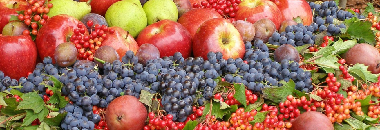 На Ставрополье вырос объём производства плодово-ягодной продукции