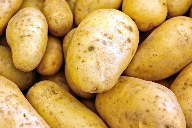 На Ставрополье завершилась уборка картофеля