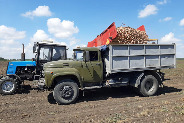 Ставропольские аграрии завершают уборку картофеля